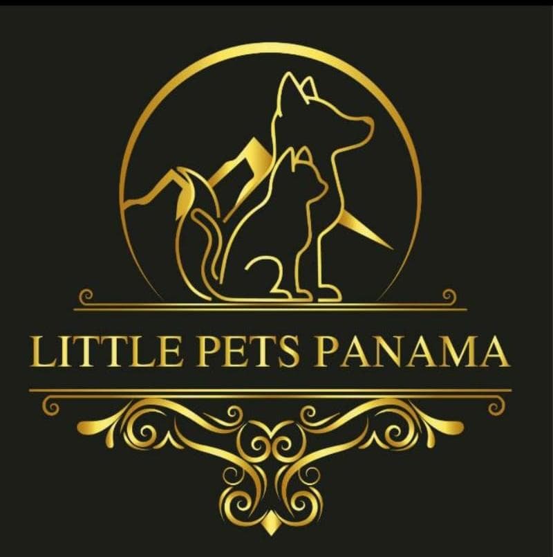 Little Pets Panama