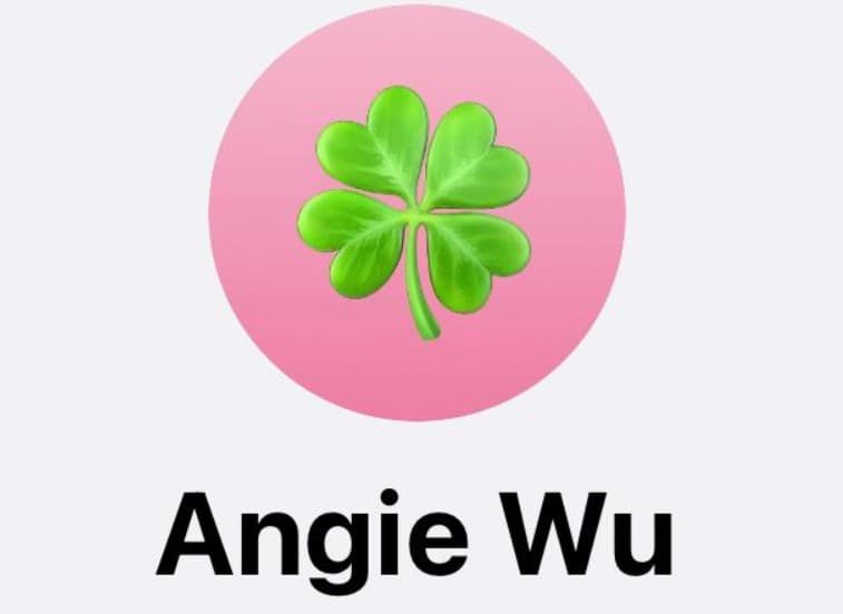 Angie Shop 2