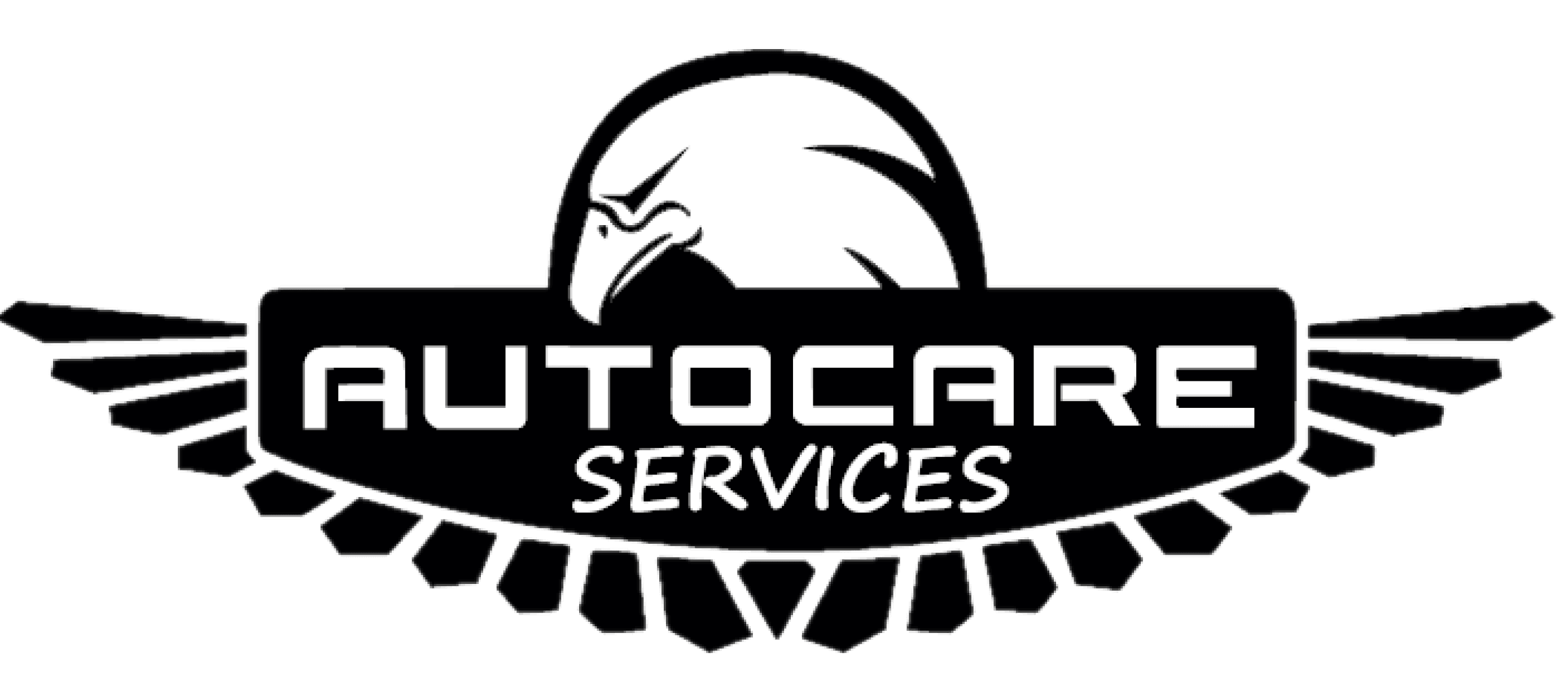 Auto Care Services